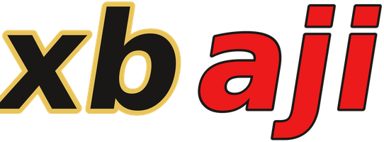 xbaji logo